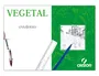Guarro Papel Vegetal DIN A4 90 gr Hoja Transparencia Regular Satinada Ideal Lápiz Tinta Calcar