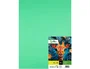 Liderpapel Cartulina Verde Pistacho 50x65 cm 240g/m2 (25 hojas)