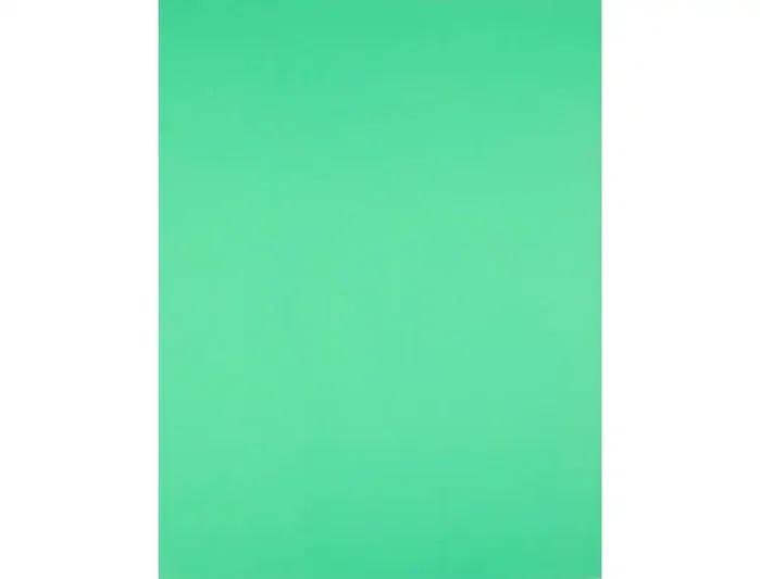 Liderpapel Cartulina Verde Pistacho 50x65 cm 240g/m2 (25 hojas)