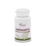 PLANTAPOL Harpagofito 100 comprimidos