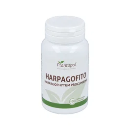 Harpagofito