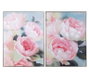 DKD Home Decor Cuadro Lienzo Flores Surtido de 2 Piezas 60x80x3,5 cm