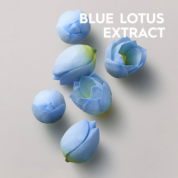 Kerasilk Styling Multi-Purpose Hairspray 300 ml - Laca Multiusos Fijación Duradera 72h, Brillo, Protección Térmica 230°C, Sin Sulfatos, Vegano