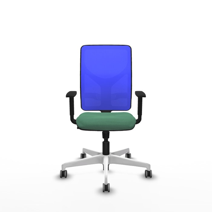 PIQUERAS Y CRESPO Silla de oficina Motilla con mecanismo Sincro, Verde esmeralda y Azul PIQUERAS Y CRESPO Silla de oficina Motilla con mecanismo Sincro, Verde esmeralda y Azul