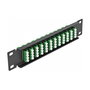 DeLOCK Panel de conexión de fibra óptica de 12 puertos LC Quad 10'', 1U, montaje en rack, color negro y verde - Referencia Patchpanel
