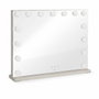 Livoo Espejo de maquillaje DOS207 con 15 LED y 3 modos de luz, 56 x 44 cm