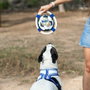 Cerdá Frisbee Para Perro Cuerda Real Madrid 22.0 X 22.0 X 6.0 Cm