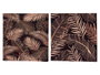Giftdecor Lienzo 28 x 28 cm Hojas Fondo Negro Surtido (Set de 36)
