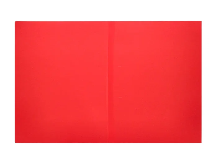 Liderpapel Subcarpeta Din A4 Rojo Intenso 180g/m2