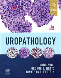 ELSEVIER UK UROPATHOLOGY 2ND.EDITION
