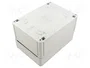 SPELSBERG TK PC Carcasa Universal Gris IP66