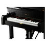 LEGO Ideas Konzertflügel 21323 Piano de Cola