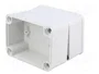 FIBOX PICCOLO Carcasa Universal Gris