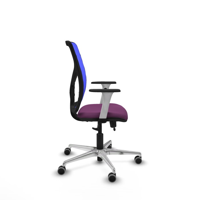 PIQUERAS Y CRESPO Silla de oficina Motilla con mecanismo Sincro/Traslack, Morado y Azul PIQUERAS Y CRESPO Silla de oficina Motilla con mecanismo Sincro/Traslack, Morado y Azul