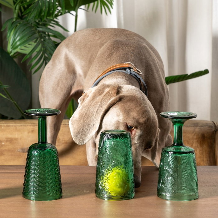 Ixia Copa Verde de Cristal Decoración 280ml