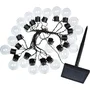Smart Garden Guirnalda de Luces GloBulb 10L 20 Bombillas 10 m
