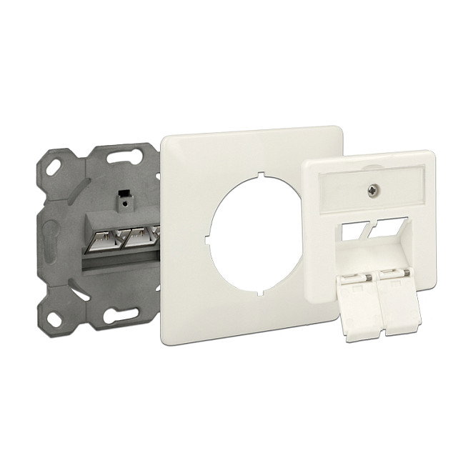 DeLOCK 86195 Roseta de red de empotrar 2 puertos RJ45 Cat.6A Blanco