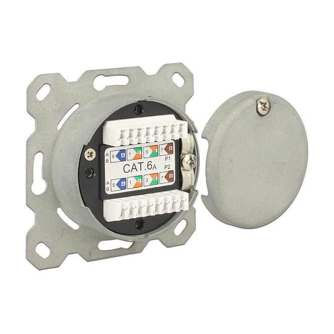 DeLOCK 86195 Roseta de red de empotrar 2 puertos RJ45 Cat.6A Blanco