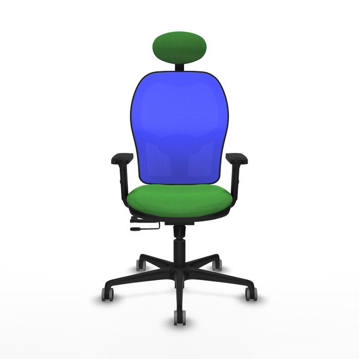 PIQUERAS Y CRESPO Silla de oficina Jorquera Sincro/Traslack Verde y Azul PIQUERAS Y CRESPO Silla de oficina Jorquera Sincro/Traslack Verde y Azul