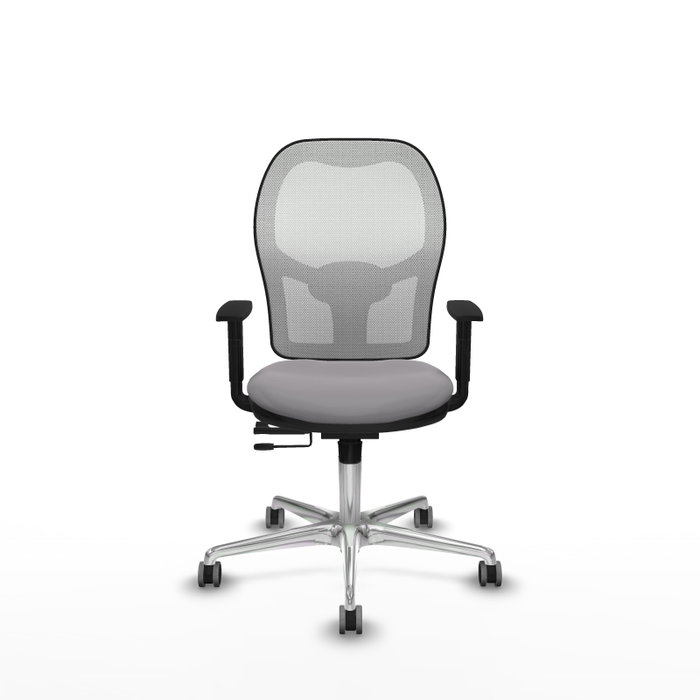 PIQUERAS Y CRESPO Silla de oficina Jorquera con mecanismo Sincro/Traslack, Gris y Blanco PIQUERAS Y CRESPO Silla de oficina Jorquera con mecanismo Sincro/Traslack, Gris y Blanco