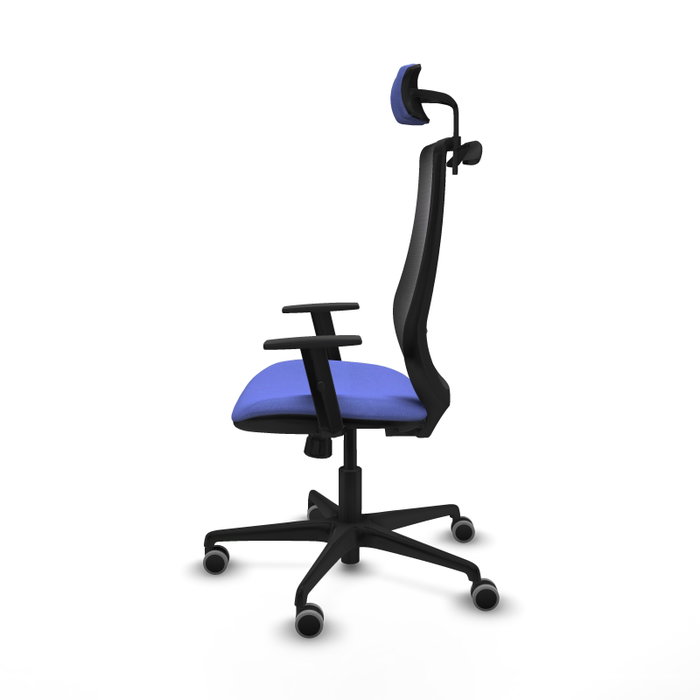 PIQUERAS Y CRESPO Silla de oficina Mardos con mecanismo Sincro, Azul claro y Negro PIQUERAS Y CRESPO Silla de oficina Mardos con mecanismo Sincro, Azul claro y Negro