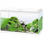 Ciano Acuario 60 Blanco 58 L con Filtro, LED, Calentador y Consumibles