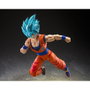 Bandai Tamashii Nations S.H.Figuarts Son Goku Blue Power Transcending Limits Dragon Ball Super