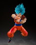 Bandai Tamashii Nations S.H.Figuarts Son Goku Blue Power Transcending Limits Dragon Ball Super