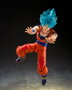 Bandai Tamashii Nations S.H.Figuarts Son Goku Blue Power Transcending Limits Dragon Ball Super
