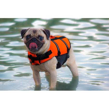 Croci Chaleco Salvavidas para Perro 35cm