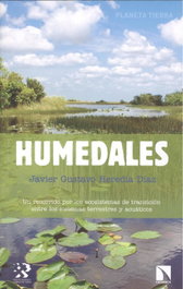 CATARATA, HUMEDALES (PLANETA TIERRA) - CATARATA
