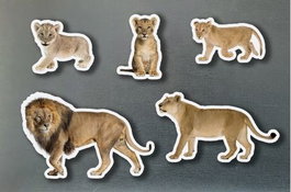 NOWORDBOOKS SCP Magnéticos familias leones