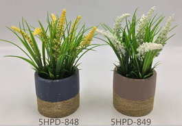 DKD Home Decor Planta Amarillo Blanco 9 x 21 x 9 cm (12 Unidades)