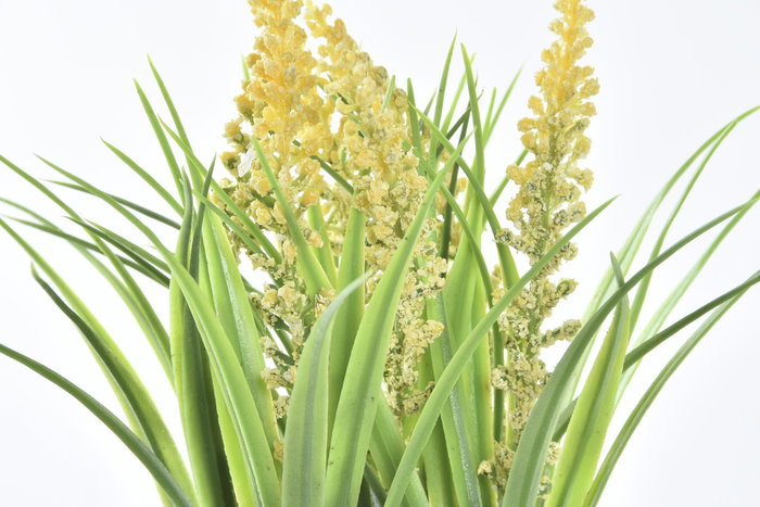 DKD Home Decor Planta Amarillo Blanco 9 x 21 x 9 cm (12 Unidades)