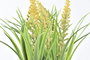 DKD Home Decor Planta Amarillo Blanco 9 x 21 x 9 cm (12 Unidades)