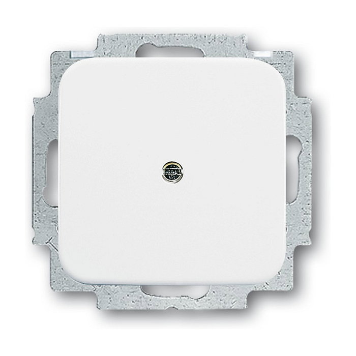 BUSCH-JAEGER 2538-214 Reflex SI Zentralscheibe Tragring Blind - UP Blanco BUSCH-JAEGER 2538-214 Reflex SI Zentralscheibe Tragring Blind - UP Blanco