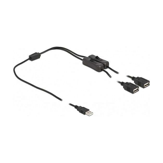 DeLOCK Cable USB Tipo-A macho a 2 x USB Tipo-A hembra con interruptor, 1 m