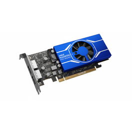 AMD Tarjeta Gráfica Radeon Pro W6400 4GB Profesional para Estaciones de Trabajo
