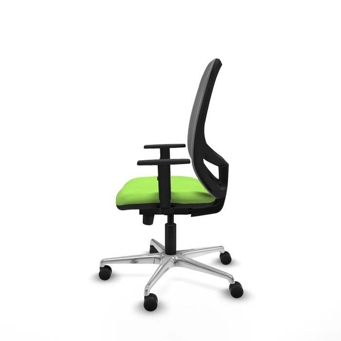 PIQUERAS Y CRESPO Silla de oficina Cilanco con mecanismo Sincro/Traslack, Tela Pistacho y Malla Gris PIQUERAS Y CRESPO Silla de oficina Cilanco con mecanismo Sincro/Traslack, Tela Pistacho y Malla Gris