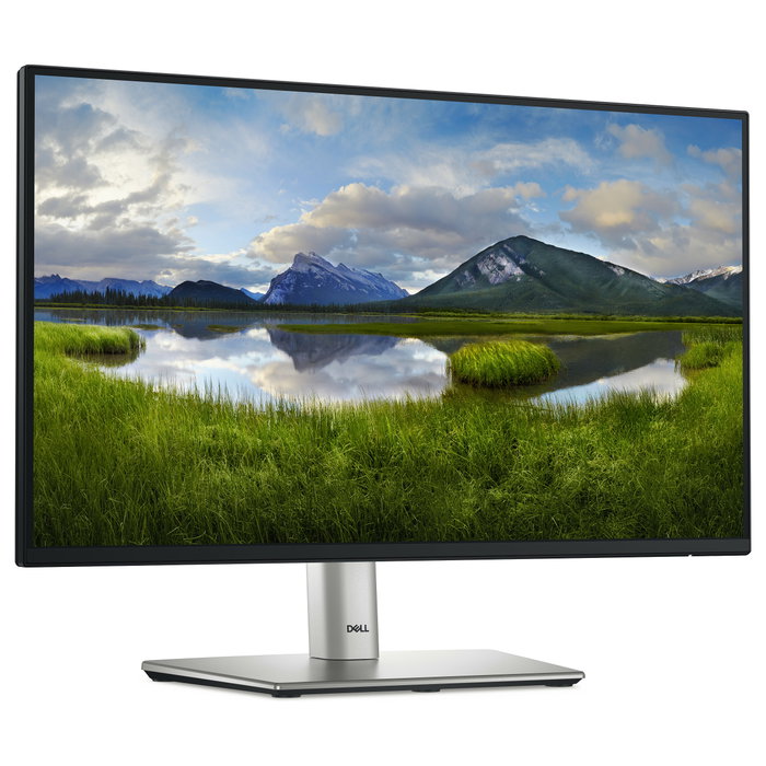 DELL P2225H Monitor Full HD 21.5 IPS Negro y Plata