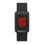 amplicomms BigTel 50 Alarm Plus Duo Gris Oscuro