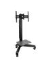 Ergotron Neo-Flex Mobile MediaCenter VHD Carro Multimedia para Pantalla Plana con Rotación Vertical-Horizontal, Inclinación de 20°, Ajuste en Altura - 24-191-085