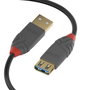Lindy Cable de Extensión USB 3.2 Gen 1 Anthra Line 3m Negro