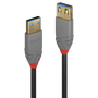 Lindy Cable de Extensión USB 3.2 Gen 1 Anthra Line 3m Negro