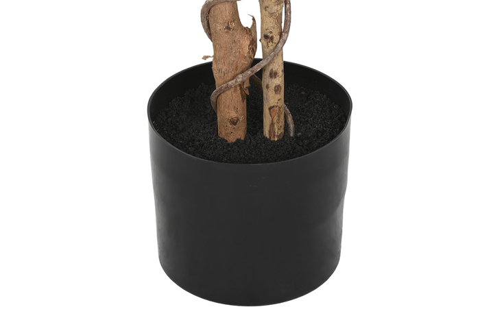 DKD Home Decor Árbol Ficus Verde y Marrón 75x75x150 cm