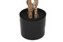 DKD Home Decor Árbol Ficus Verde y Marrón 75x75x150 cm
