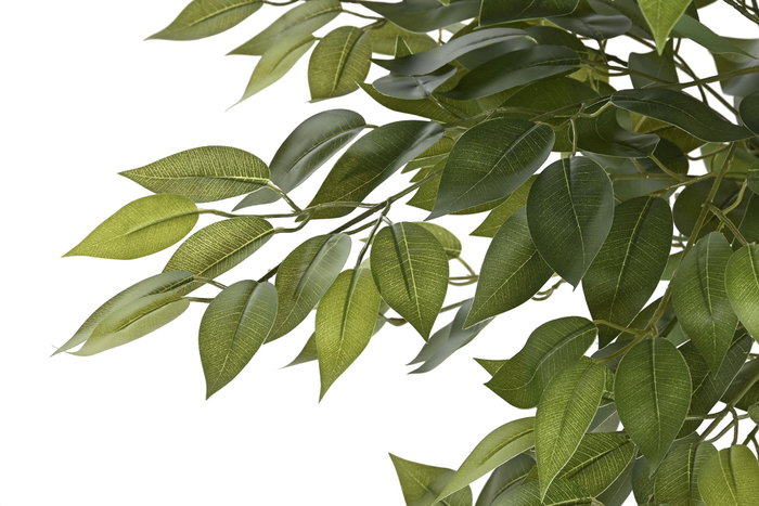 DKD Home Decor Árbol Ficus Verde y Marrón 75x75x150 cm