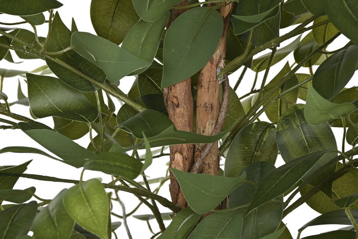 DKD Home Decor Árbol Ficus Verde y Marrón 75x75x150 cm