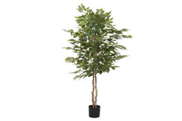DKD Home Decor Árbol Ficus Verde y Marrón 75x75x150 cm