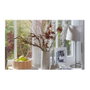 Tesa Burlete para Ventana Perfil P 6m x 9mm Marrón 05390